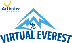 Virtual Everest